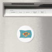 Delaware Flag Magnet (Insitu (Vaatwasser))