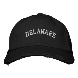 Delaware, geborduurd, vervormd Pet zwart