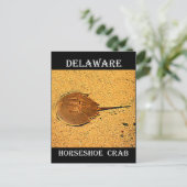 Delaware Hoefijzer Crab Briefkaart (Staand voorkant)