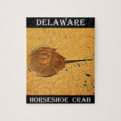 Delaware Hoefijzer Crab Legpuzzel (Verticaal)