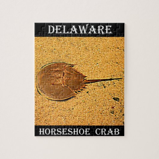 Delaware Hoefijzer Crab Legpuzzel (Verticaal)