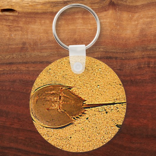 Delaware Hoefijzer Crab Sleutelhanger (Voorkant)