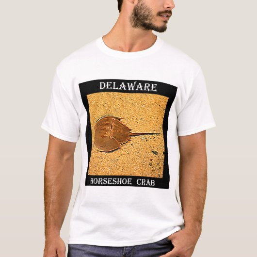 Delaware Hoefijzer Crab T-shirt (Voorkant)