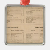 Delaware Index Metalen Ornament (Voorkant)