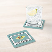 Delaware Kartonnen Onderzetters (Insitu)