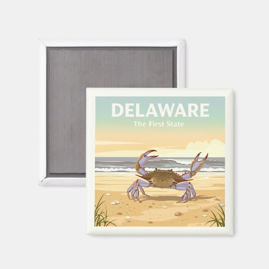Delaware Magneet (Voorkant / Achterkant)