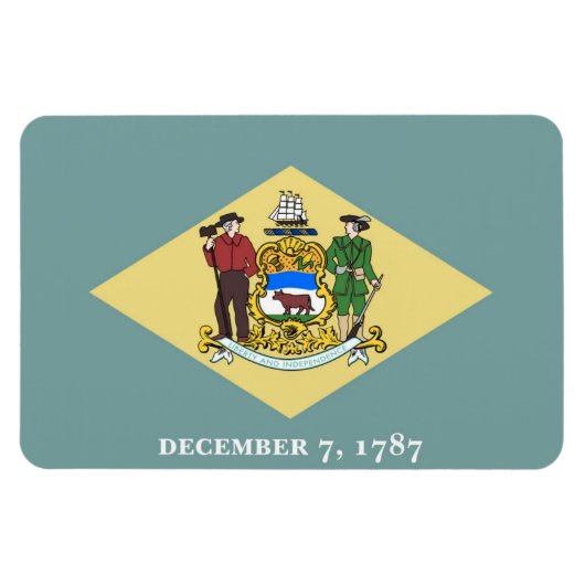 Delaware Magneet (Horizontaal)