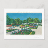 Delaware Park Roos Garden Uitzicht Briefkaart (Voorkant)
