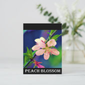 Delaware Peach Blossom Briefkaart (Staand voorkant)