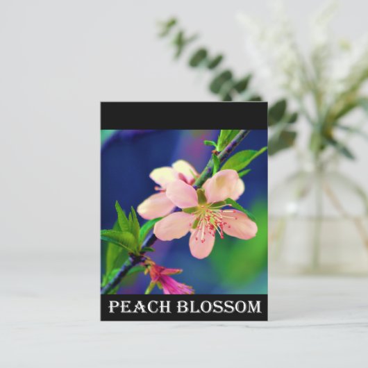 Delaware Peach Blossom Briefkaart (Staand voorkant)