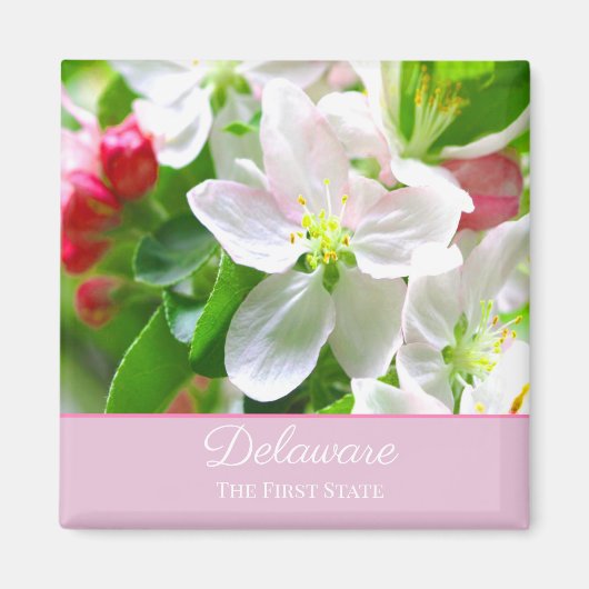 Delaware Peach Blossom First State Magneet (Voorkant)