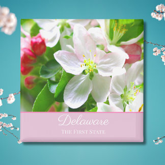 Delaware Perzikbloesems Eerste Staat Magneet