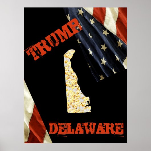 DELAWARE POSTER (Voorkant)