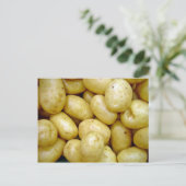 Delaware potatoe briefkaart (Staand voorkant)