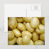 Delaware potatoe briefkaart (Voorkant / Achterkant)