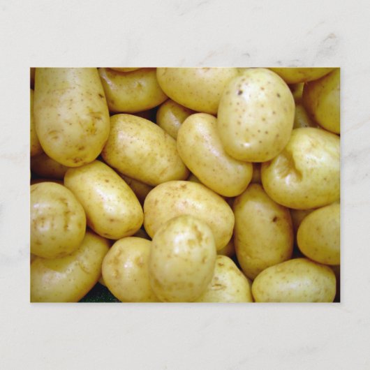 Delaware potatoe briefkaart (Voorkant)