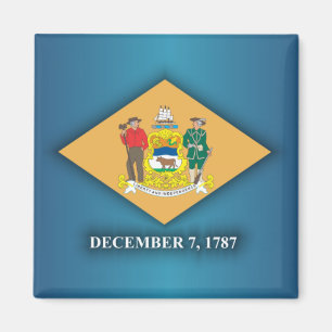 Delaware Pride Magneet