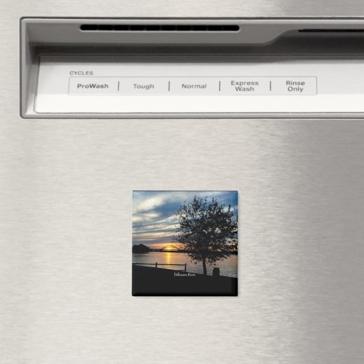 Delaware River Magneet (Insitu (Vaatwasser))