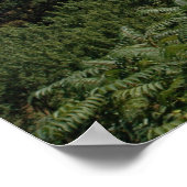 Delaware River Water Gap. print 0057 (Hoek)