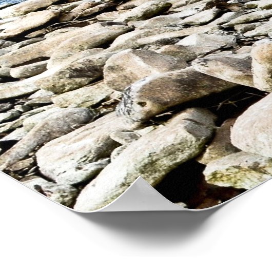 Delaware Riverside Poster (Hoek)