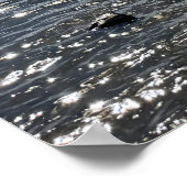 Delaware Rivier Foto Poster (Hoek)