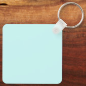 Delaware Sleutelhanger (Achterkant)