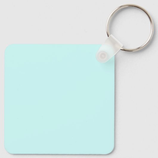 Delaware Sleutelhanger (Achterkant)