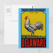 Delaware State Bird Briefkaart (Voorkant / Achterkant)