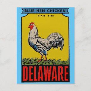 Delaware State Bird Briefkaart