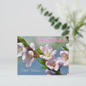 Delaware State Flower: Peach Blossom Briefkaart (Staand voorkant)