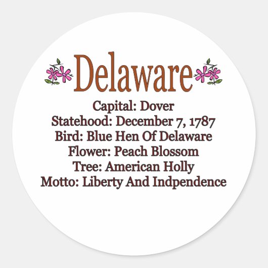 Delaware State Info Sticker (Voorkant)