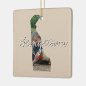 Delaware State Photo insert and town name Keramisch Ornament (Links)