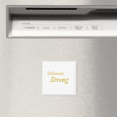 Delaware Strong Magneet (Insitu (Vaatwasser))