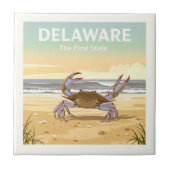 Delaware Tegeltje (Voorkant)