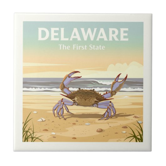 Delaware Tegeltje (Voorkant)