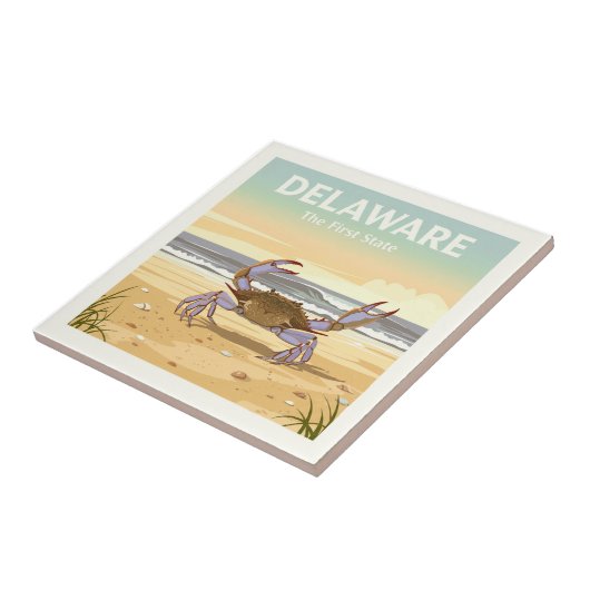 Delaware Tegeltje (Zijkant)