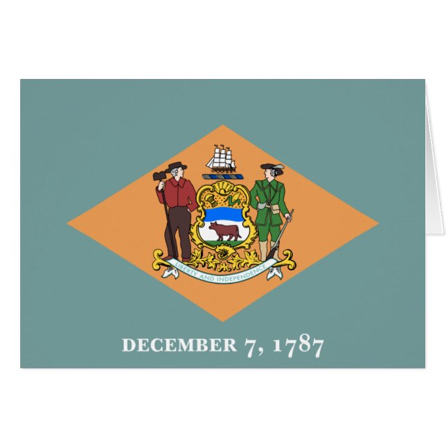 Delaware The Diamond US Staatsvlag (Voorkant Horizontaal)