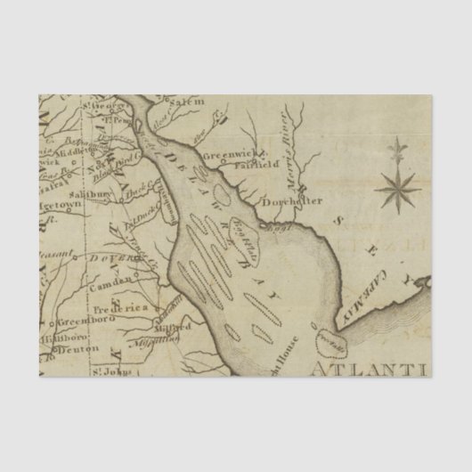 Delaware Tissuepapier (Voorkant)