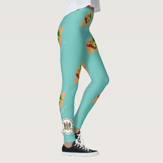 Delaware vlag leggings (Rechts)