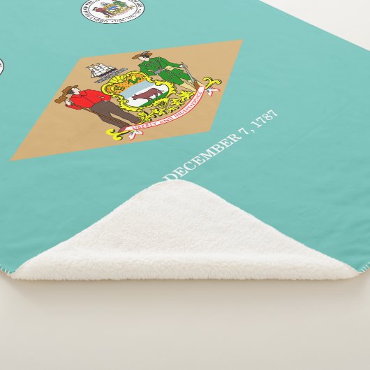 Delaware vlag sherpa deken (3/4)