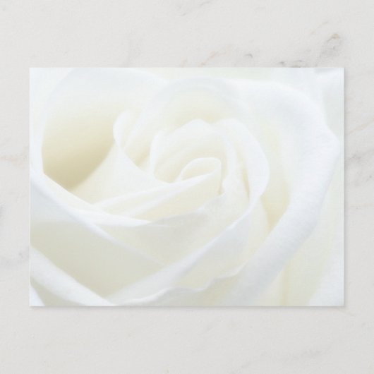 Delen Een Herinnering Bloem Roos Funeral Briefkaart (Achterkant)