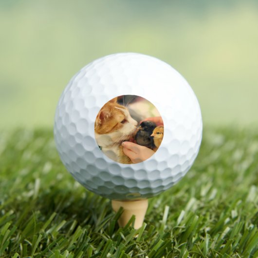 Delen Golfballen (Insitu Shirt)