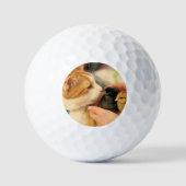 Delen Golfballen (Voorkant)