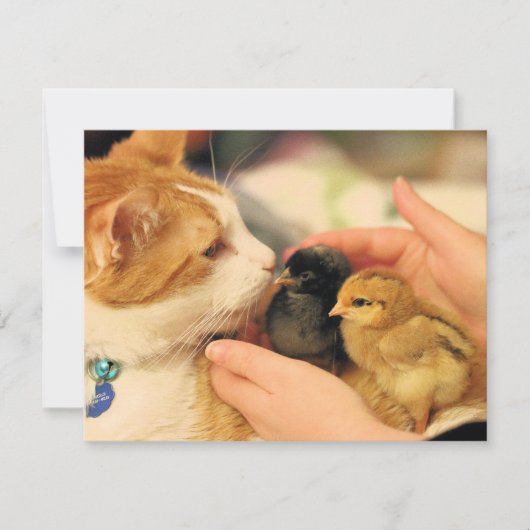 Delen Kaart (Voorkant)