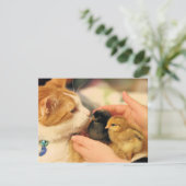 Delen Kaart (Staand voorkant)