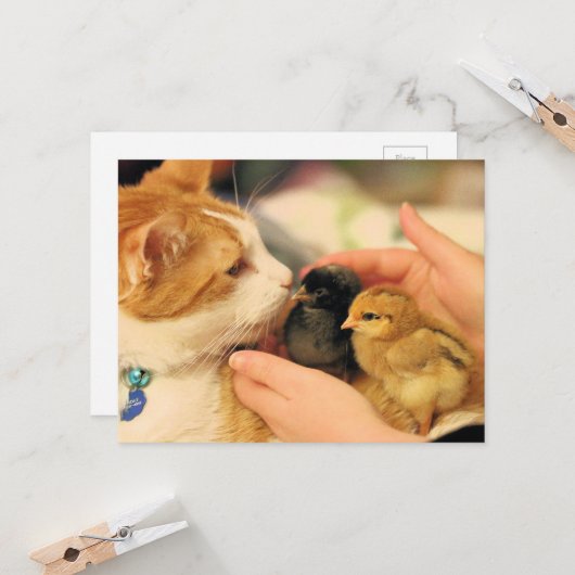 Delen Kaart (Voorkant / Achterkant in situ)