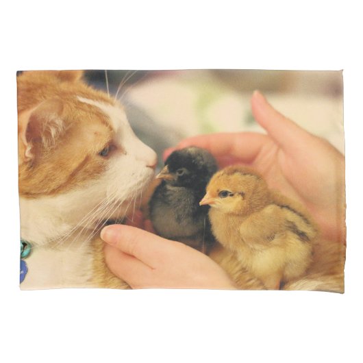 Delen Kussensloop (Voorkant)