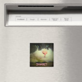 Delen met kat? magneet (Insitu (Vaatwasser))