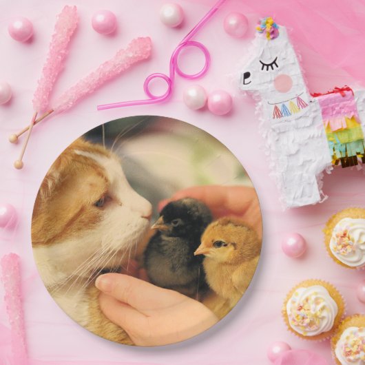 Delen Papieren Bordje (Feest)