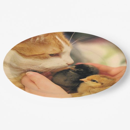 Delen Papieren Bordje (Gekanteld)